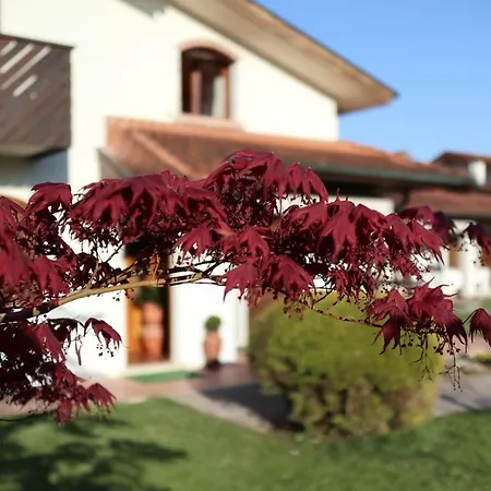 La Pecora Nera Belluno