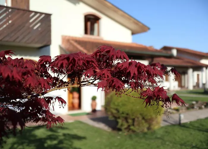 La Pecora Nera Belluno