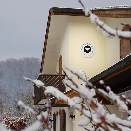 La Pecora Nera Belluno