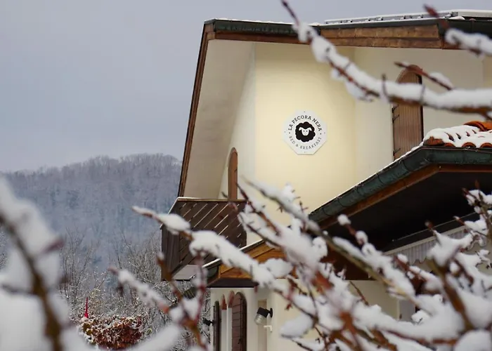 La Pecora Nera Belluno